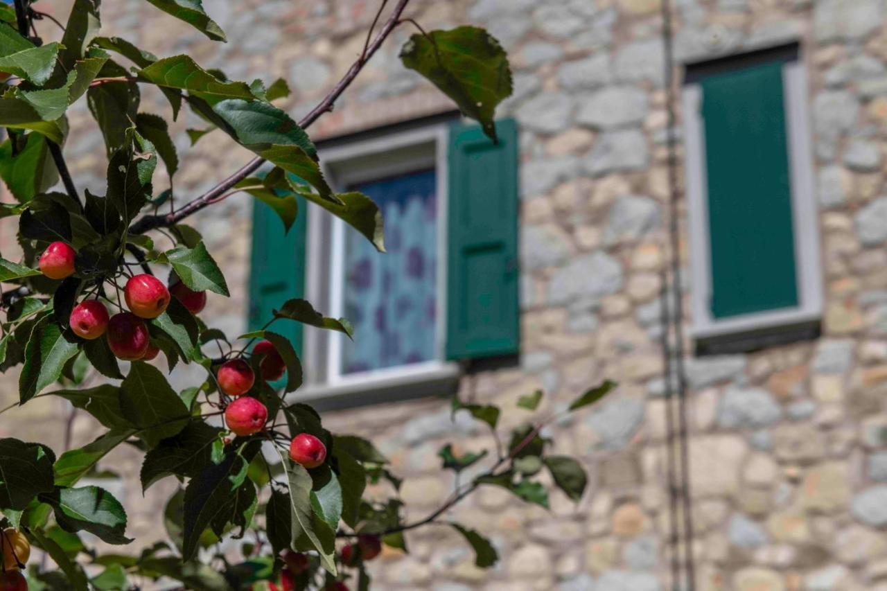 Podere Pratizzoli Tole Eksteriør bilde
